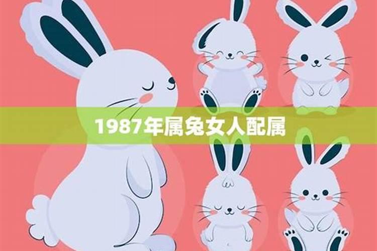 1987年属兔和1987年属兔相配吗