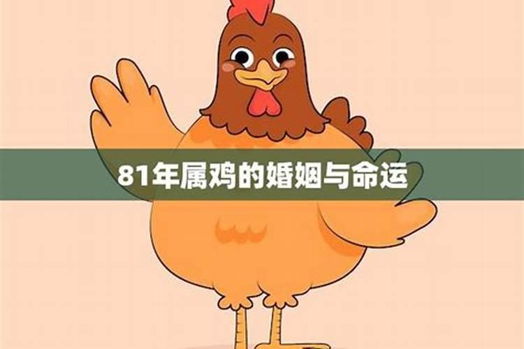 八字丑未戌三刑会发生什么