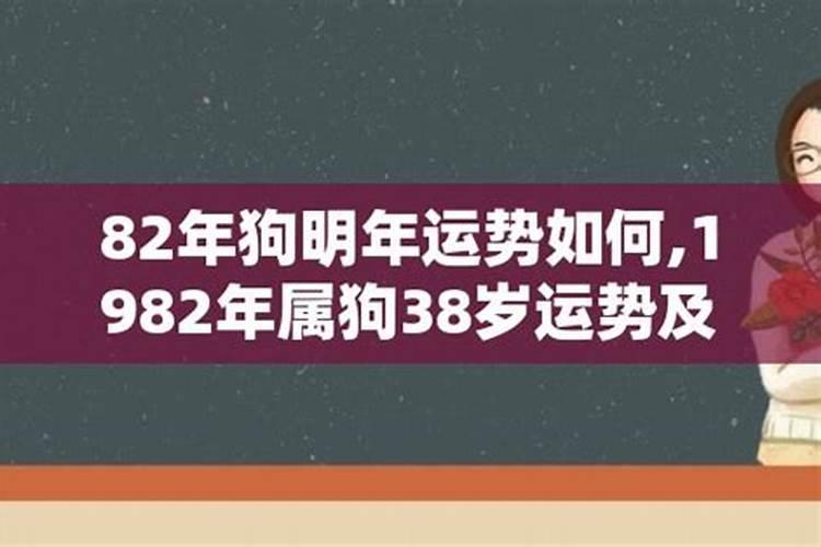 男人最想拥有的生肖女人有哪些特征