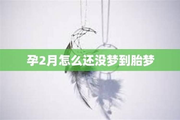 梦见老鼠预示什么周公解梦女人