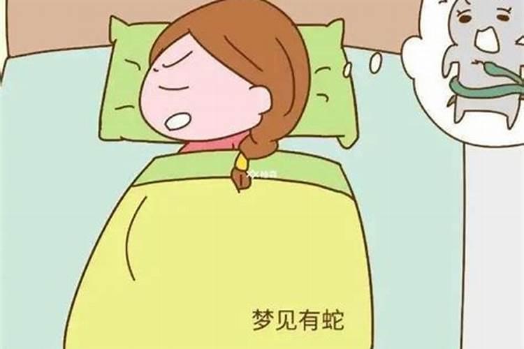 梦见老鼠预示什么周公解梦女人