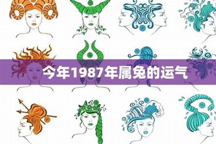 1987年属兔的今年运势