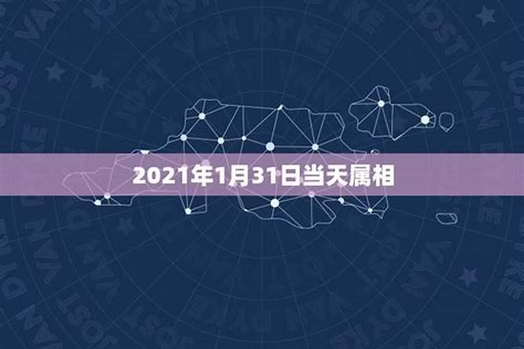 2021年属兔的吉祥色是什么颜色