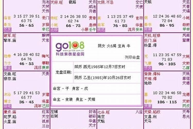 清明祭扫活动报告