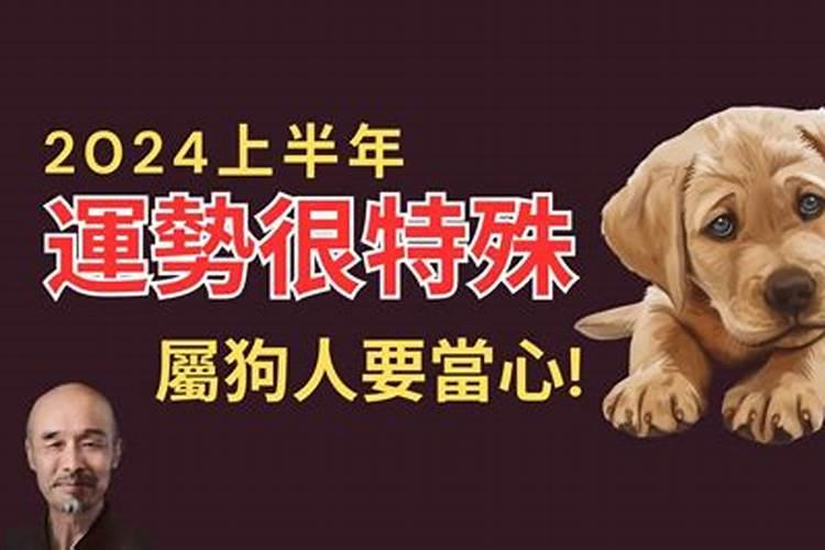 生肖狗2021上半年运势