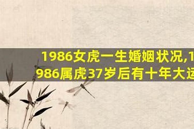 1986年属虎女婚姻命运