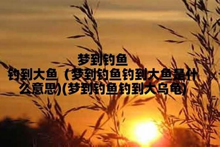 梦见拉屎是什么意思梦