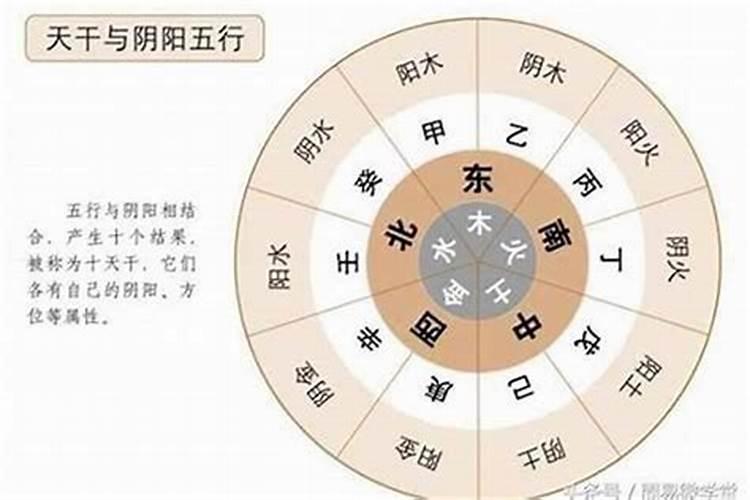 大运走子午卯酉会怎样