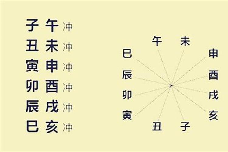 八字子午卯酉全的人命运