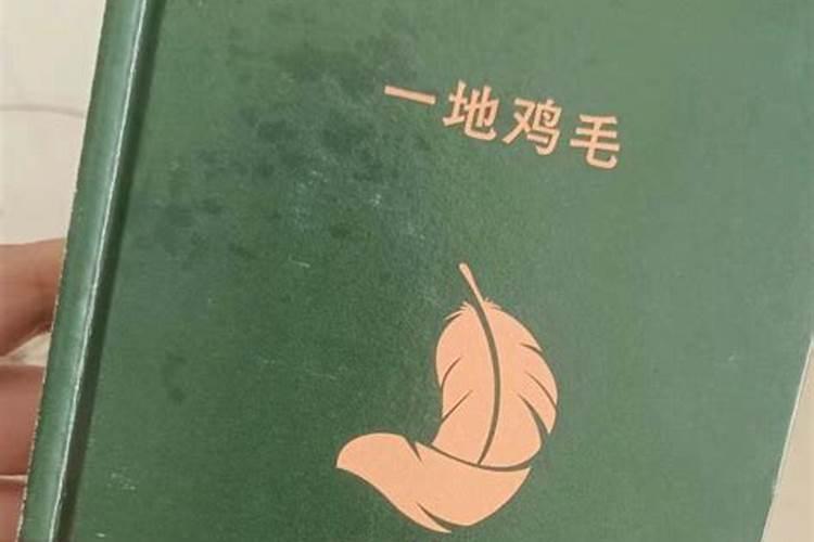 婚姻一地鸡毛什么意思