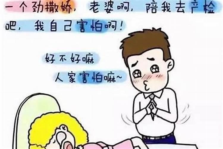 算命能知道什么时候有孩子吗