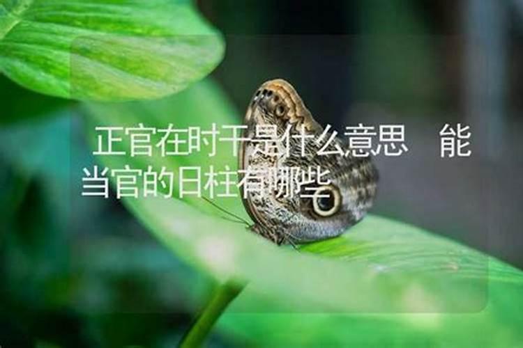 算命说能当官指的是什么官