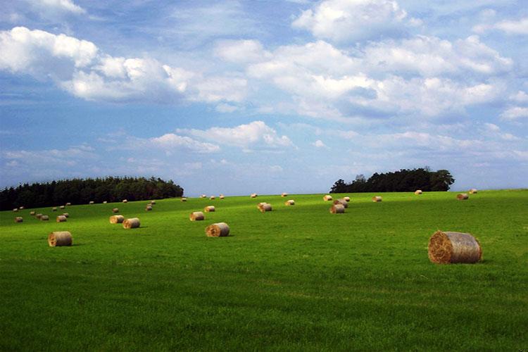 梦见特别美丽的风景