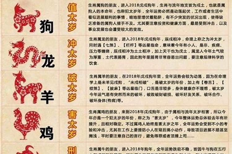 属龙和属鼠合不合适