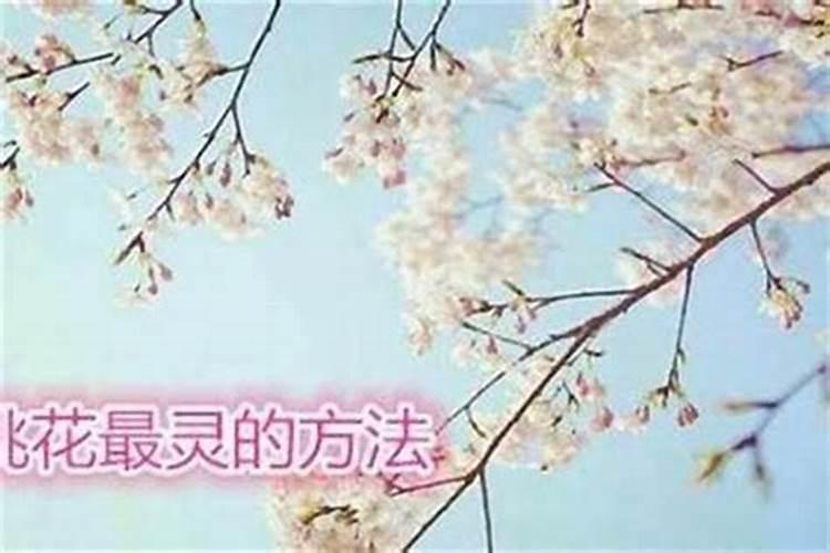 斩桃花的方法民间