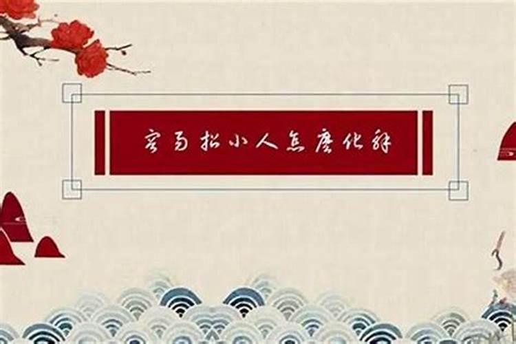 属鸡人1981年2024年运势运程