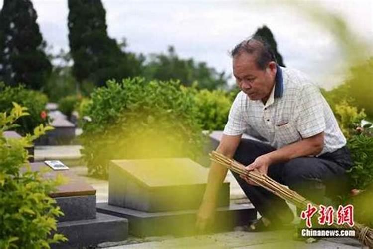 清明节剪纸教程用几色纸合适