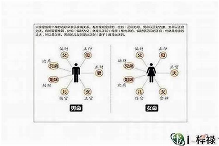 晚上梦到自己被蛇咬了