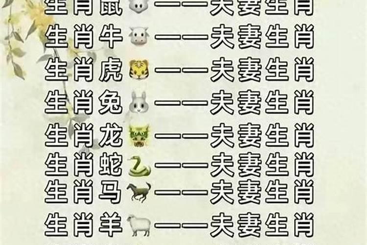 12属相最佳婚配表