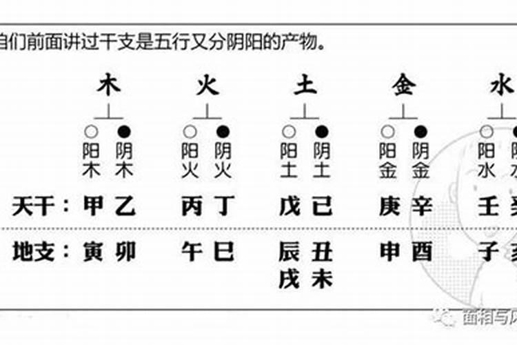 八字没有配偶星怎样看婚姻