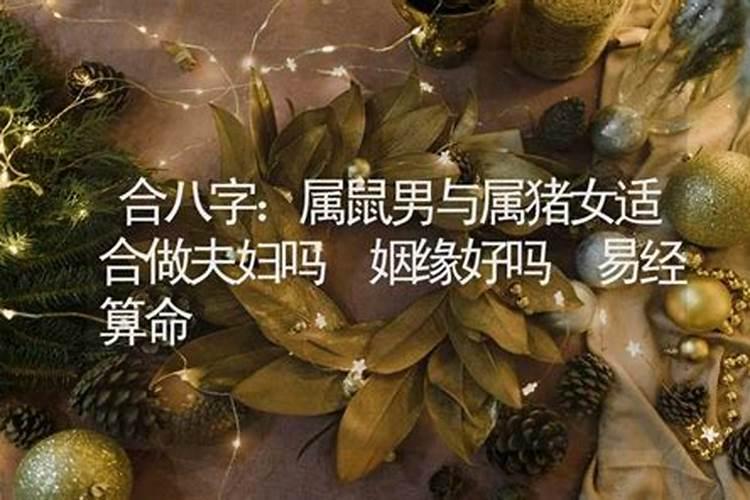 女牛男龙属相婚配可以吗