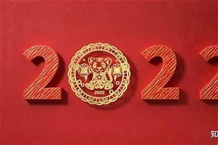 2022年属兔人的全年运势怎么样呢