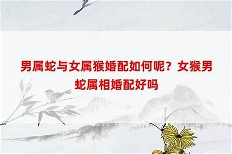 7月27日是什么星座的正确的答案