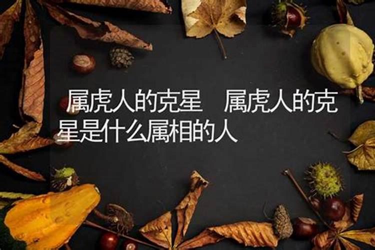 属虎的克星是什么属什么