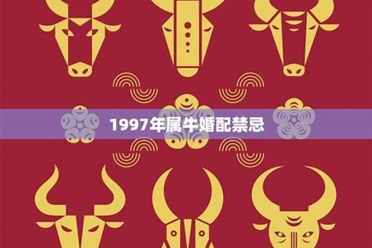 1997年属牛和属牛的婚姻配吗