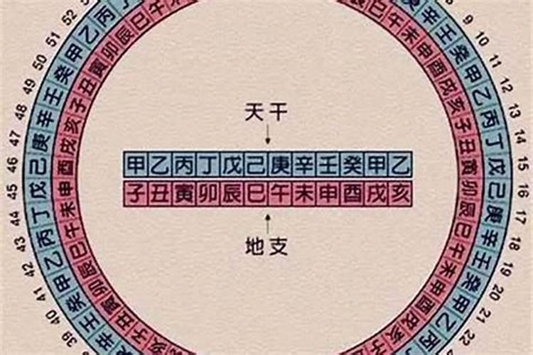 1975属兔2025年运势运程