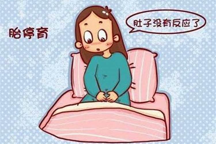 什么样的人容易遇贵人呢女生