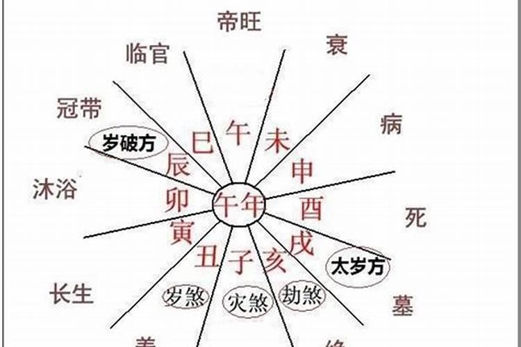 2024年宝宝五行属什么