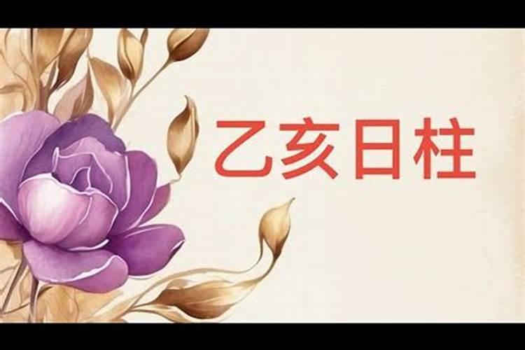 属兔家里养什么植物好