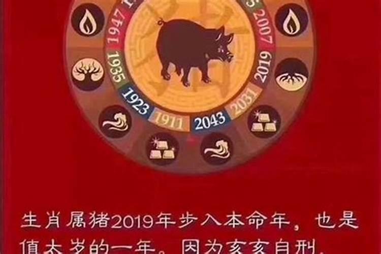 2019年犯太岁的属相