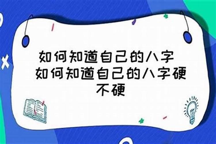 82年属狗人过了42岁运气如何呢