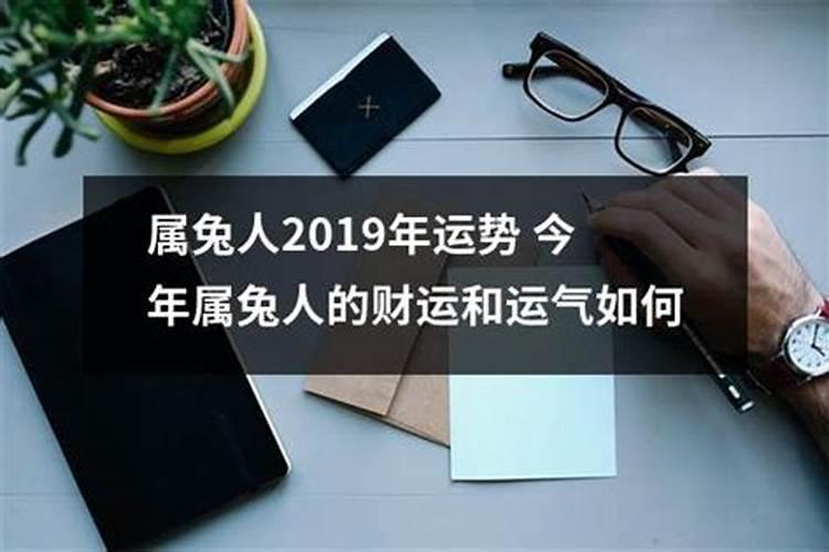 属兔人2019的财运