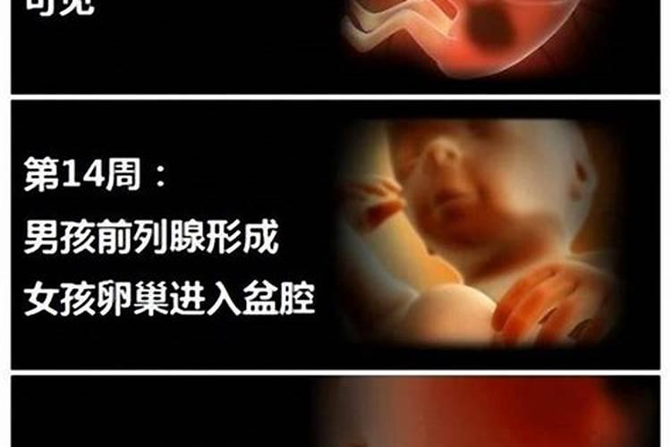 女人梦见蛇一直追着自己咬