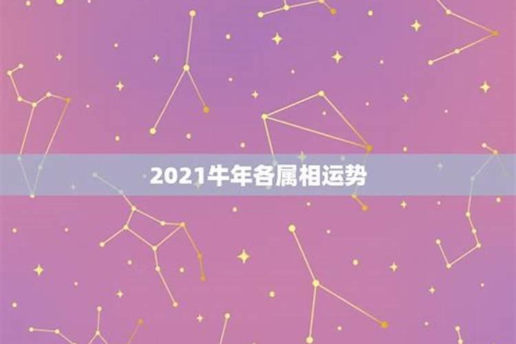 2021本年运势