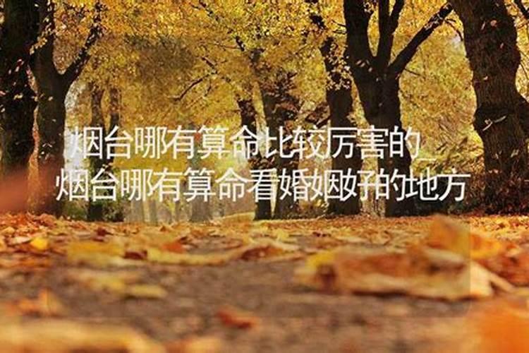 奕的五行属性是什么字