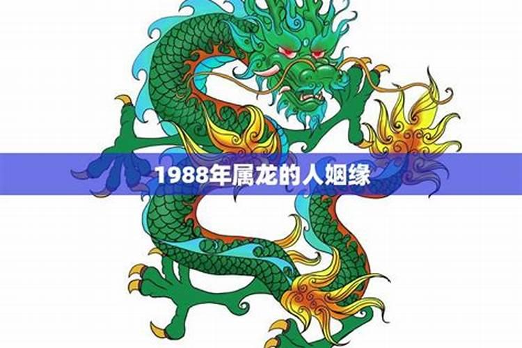 农历1988年属什么生肖