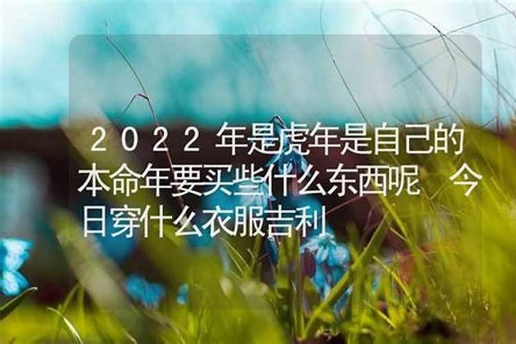 属龙的2022年的运怎么样