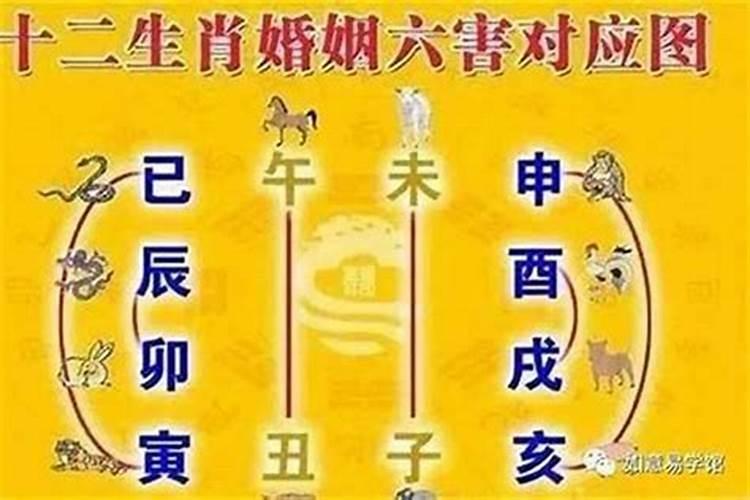 测两人八字是否合适结婚的方法