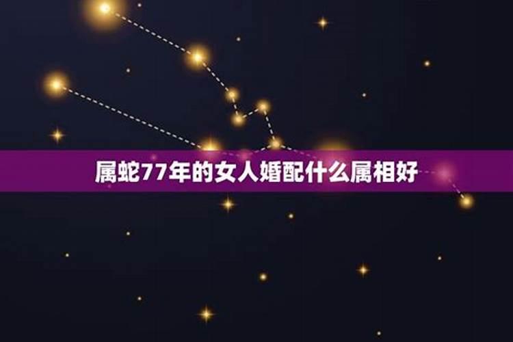 87年的火兔2024运势如何