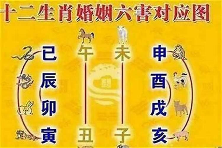 衡阳清明节祭扫活动可以再哪里举行