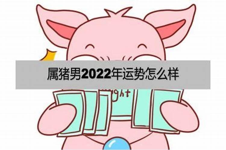 属猪人2022年全年运势及运程男