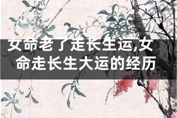 梦见第一任前妻