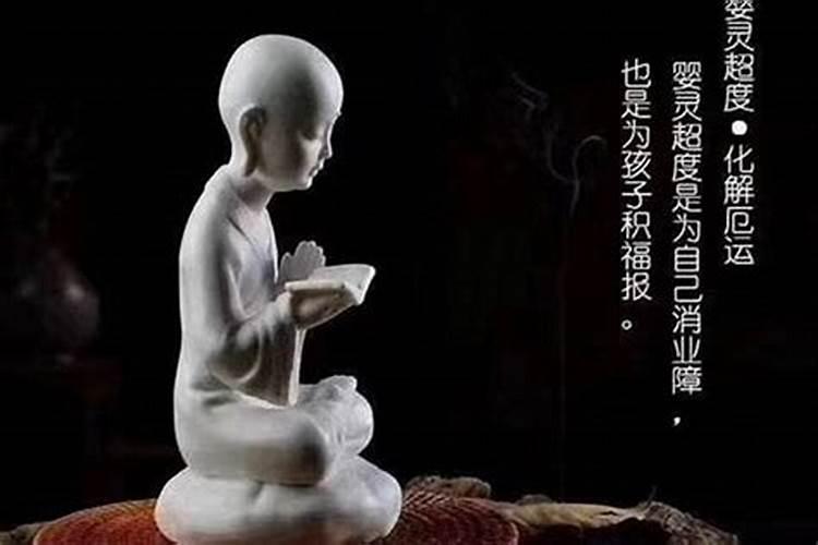 算命的让我放生三条鱼