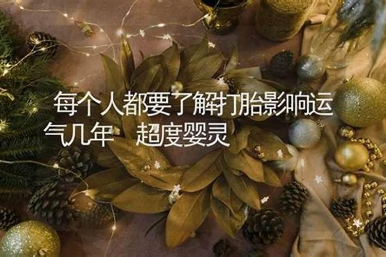 属兔的和属羊相配吗