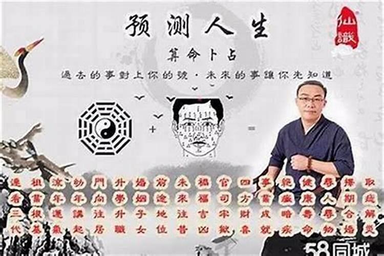 属兔的2023年运势如何每月