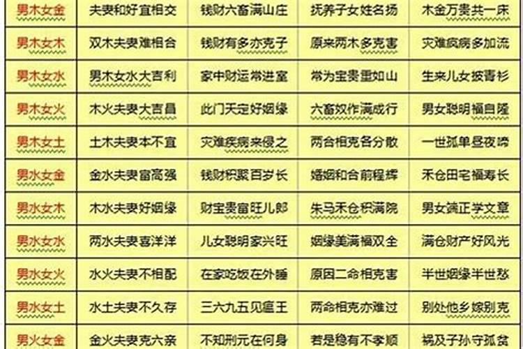 82年狗2024年运势运程